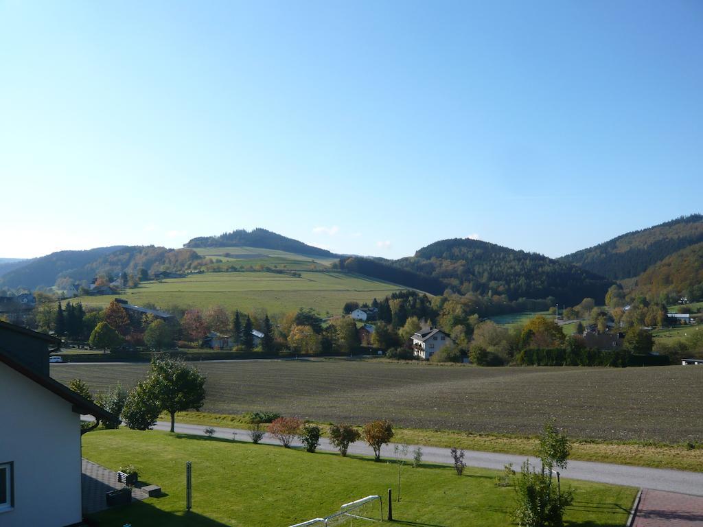 Haus Talblick Villa Willingen  Luaran gambar